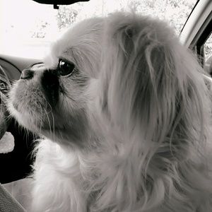 Meet your Posher, Kari